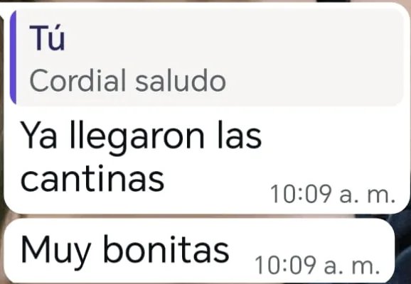 Mensaje de WhatsApp de un cliente: Ya llegaron las cantinas. Muy bonitas
