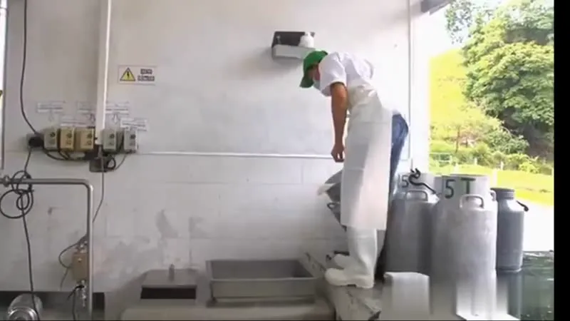 Video de la planta, manejo real de las cantinas